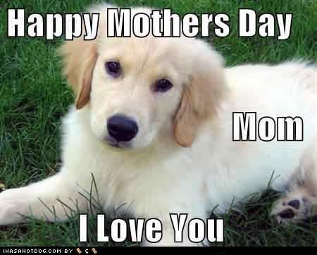 love you mom pics. I+love+you+mom+quotes