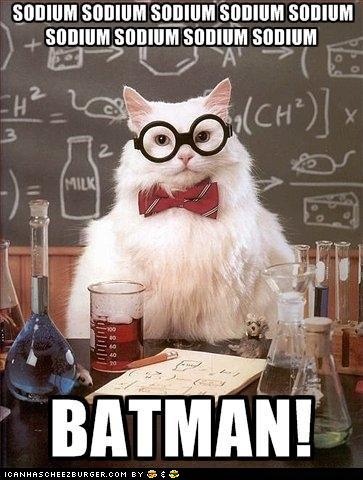 funny-pictures-chemistry-cat-batman1.jpg