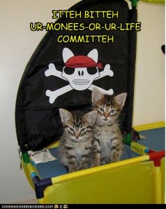Pirate Kittens!